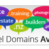 New NZ Domains